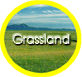 Grassland