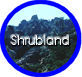 Shrubland