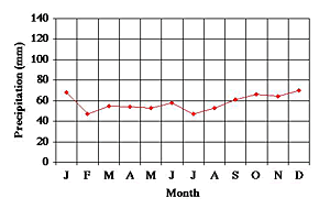 precip graph D